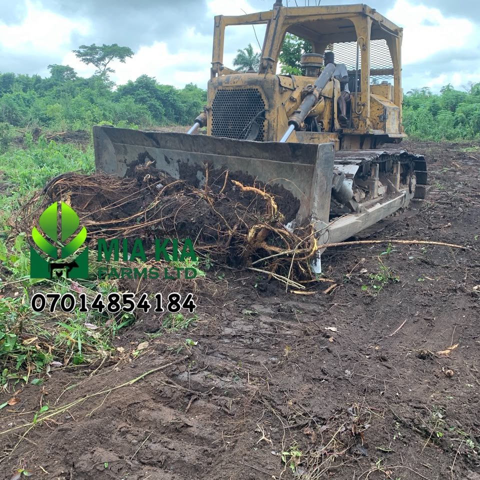 Mechanized Land Prep