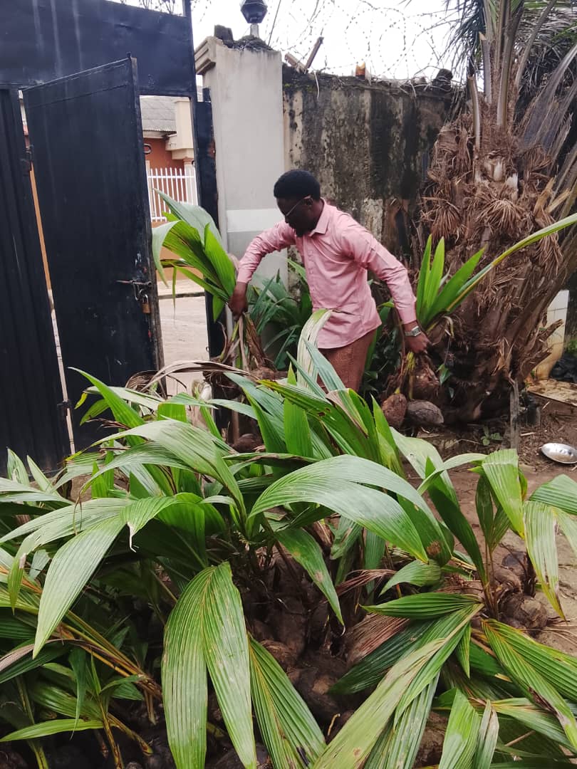 Planting Materials