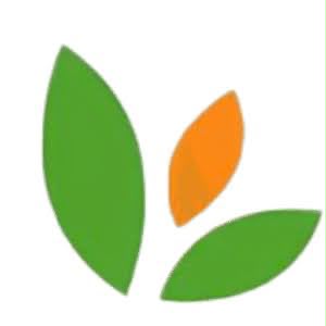 Partner 3
